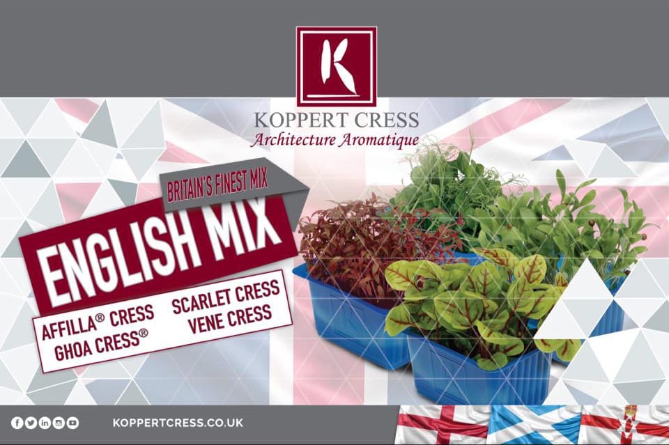 Dutch Microgreen Experts, Koppert Cress, launch English Mix