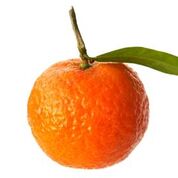 TP Oranges