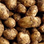 TP April Potatoes-Cornish-New-03-1