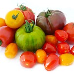 TP April Tomatoes