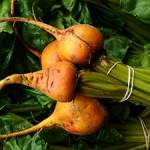 Beetroots-Bunch-Golden-Paget-01