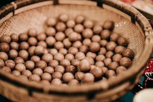 Has Veganuary Ve’gone’uary? Nutcellars Macadamia Nuts are Bang on Trend for 2020!